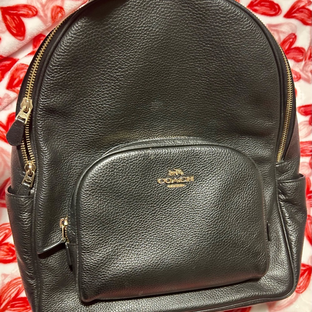 Coach Backpack Large Court